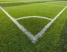 奥斯卡归化,失利,中国足球凭,拼搏在线彩神通,彩票预测,在线投注,彩票分析,彩票平台